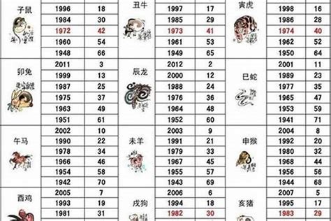 2012年属什么|2012年属什么生肖 2012年属什么的生肖